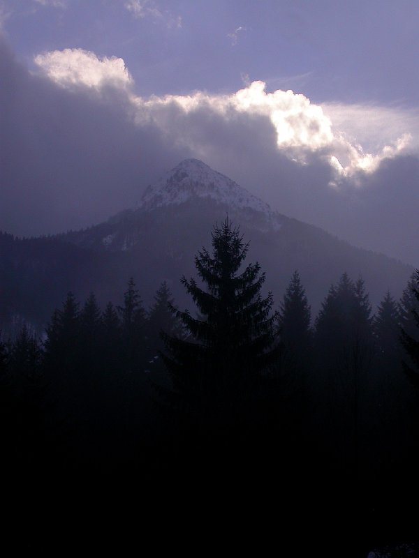 Winter in Bohinj, Slovenia - 08.JPG
